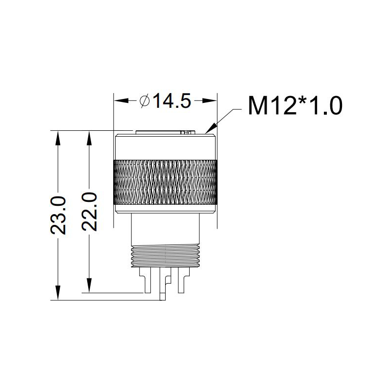 M12 4pin A code female moldable connector,unshielded,brass with nickel plated screw